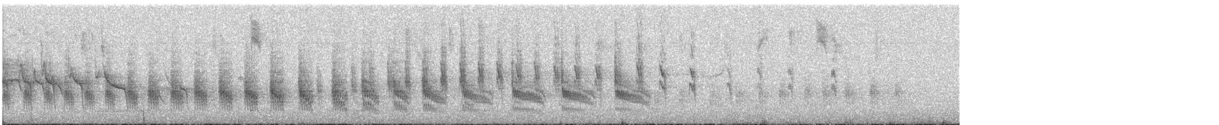 コバシヌマミソサザイ（aequatorialis） - ML596791041