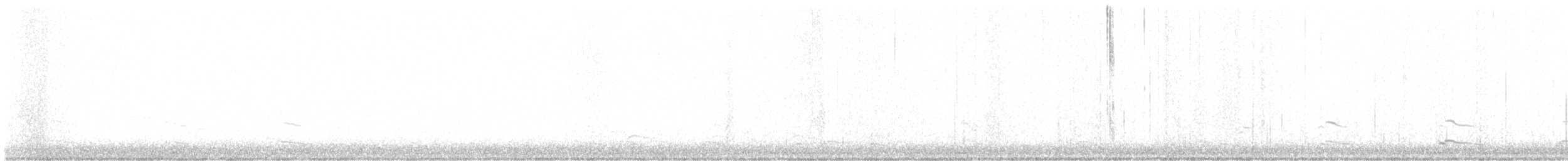 Серебристая чайка - ML596800621