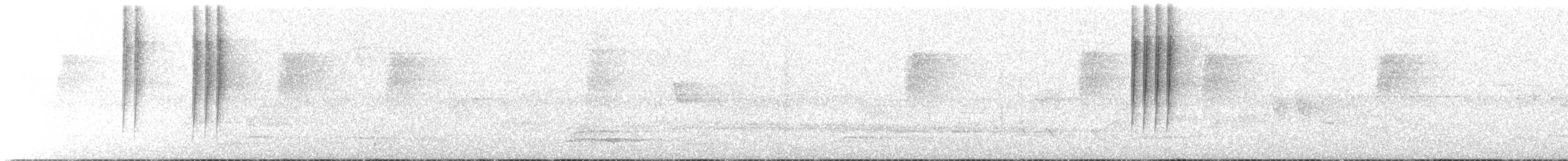 Squamate Antbird - ML596818011