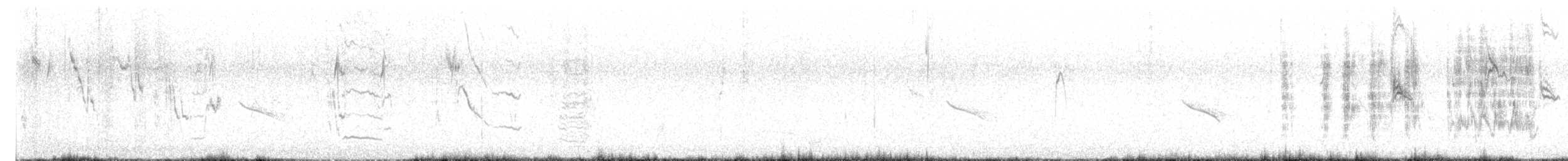 Long-tailed Meadowlark - ML596825501