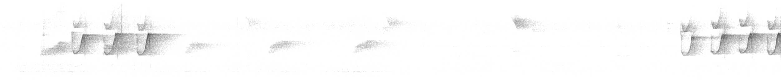 Plain Xenops (White-throated) - ML596869761