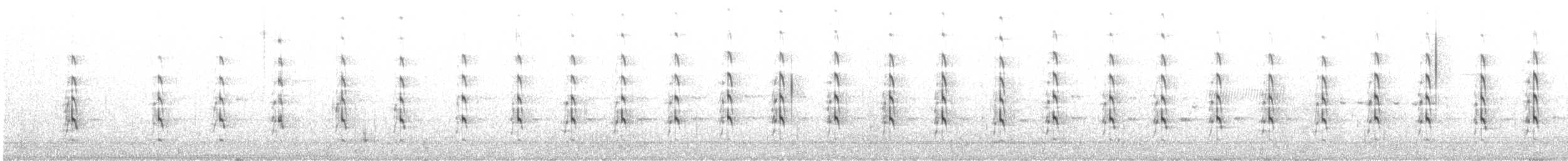 Schlammtreter (semipalmata) - ML596870201