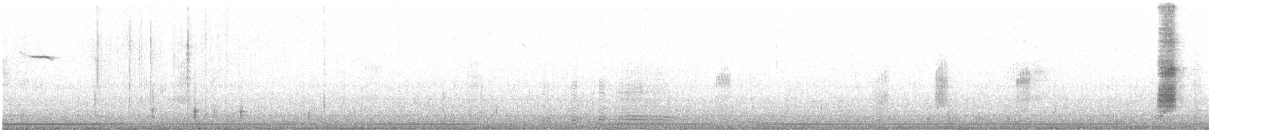 Merle austral (magellanicus/pembertoni) - ML596876961