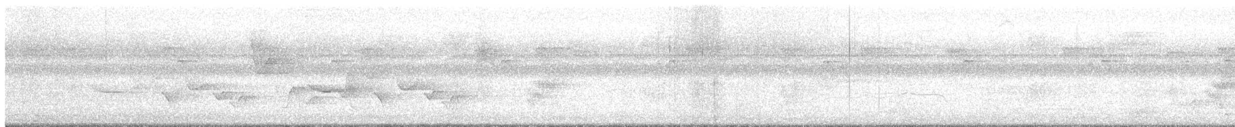 Spot-breasted Wren - ML596884511
