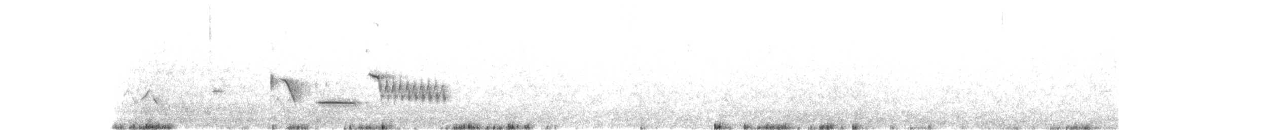Тауї плямистий x східний - ML596898561