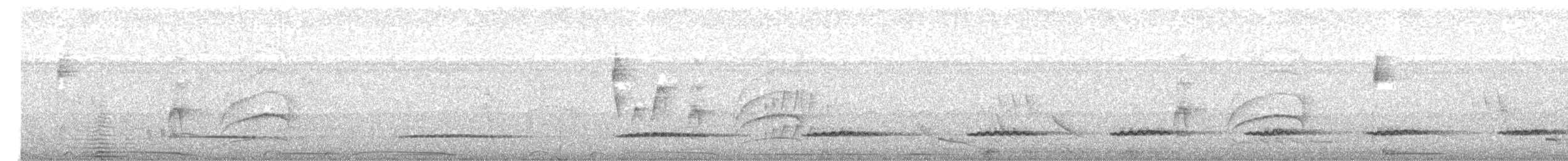 Little Tinamou - ML596898961