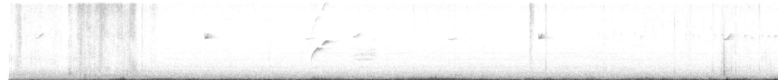 Batı Amerika Sinekkapanı (occidentalis/hellmayri) - ML596908611