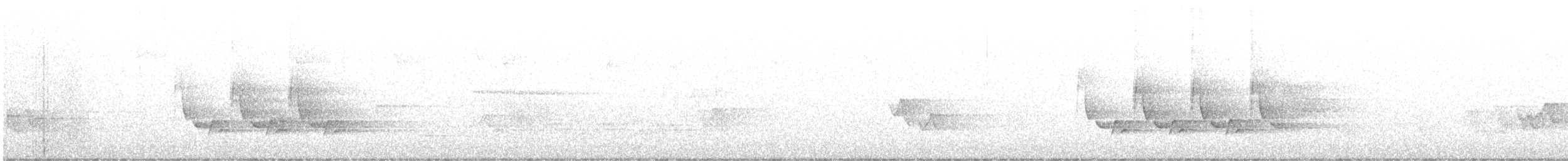 Каролинский крапивник - ML596909511