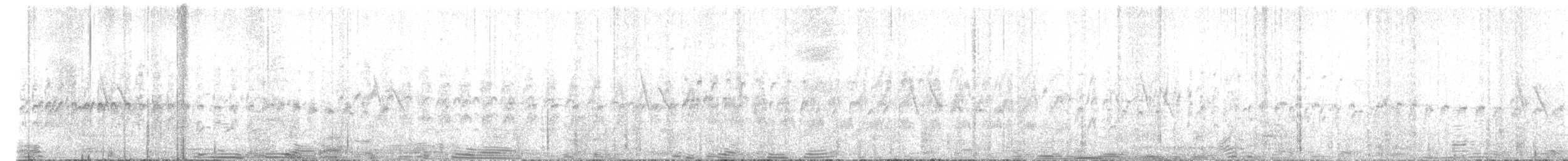 White-throated Swift - ML596911451