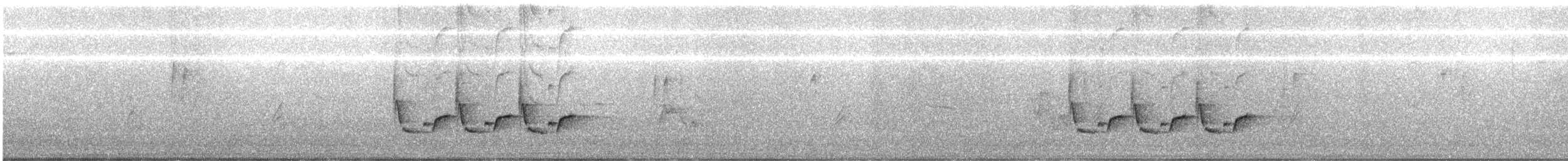 Каролинский крапивник - ML596912401