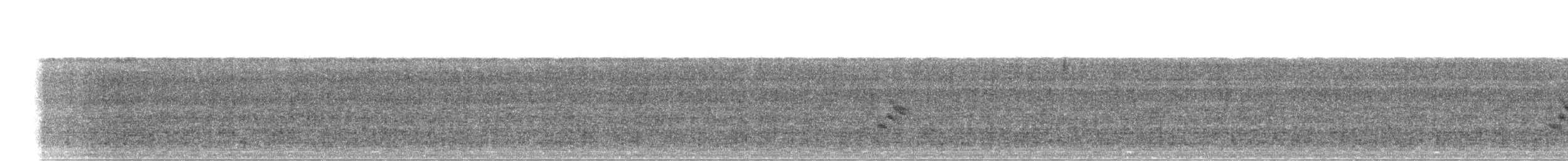 Sperlingsvogel, unbestimmt - ML596916221