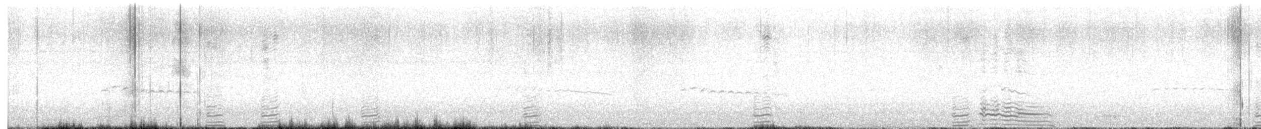 Gallo Oscuro - ML596917211