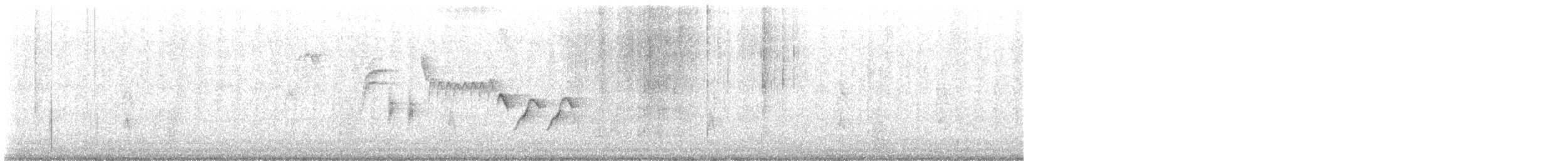 Troglodyte de Bewick - ML596961441