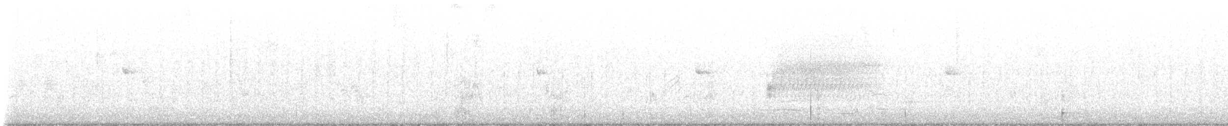 Тауї плямистий - ML596962271