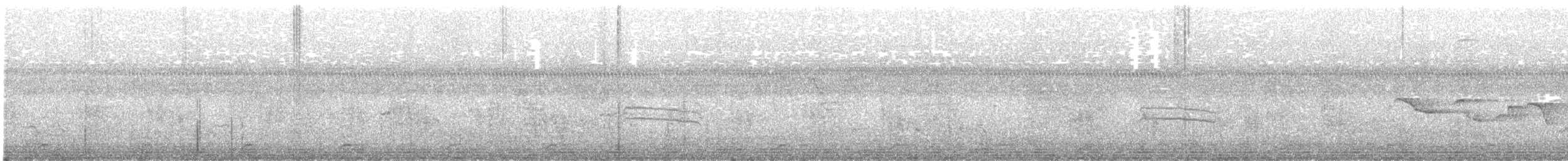 Ak Göğüslü Suyelvesi - ML596973591