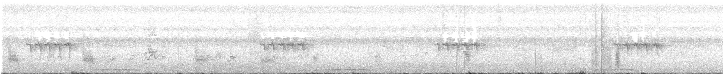 Принія жовточерева (підвид sonitans) - ML596973691