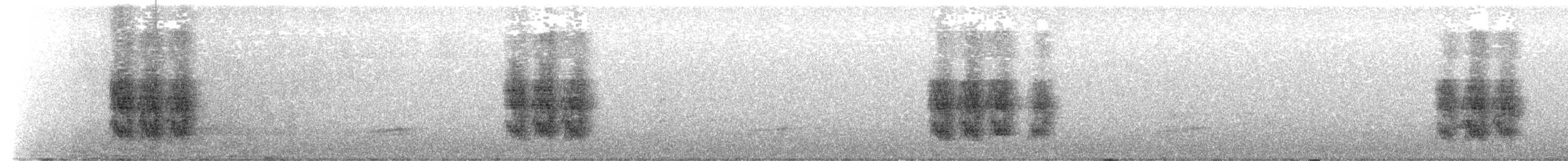 Black-throated Jay - ML596984531