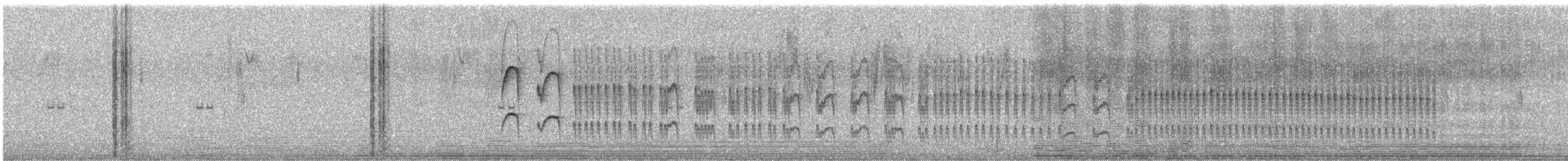 Streifenbauch-Tachurityrann - ML596995611