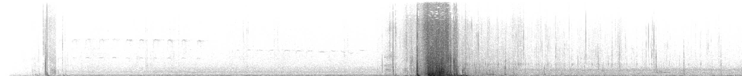 Цоохор тоншуул - ML597023721