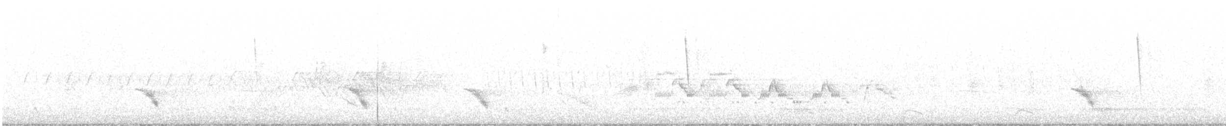 Дрізд-короткодзьоб бурий - ML597049631