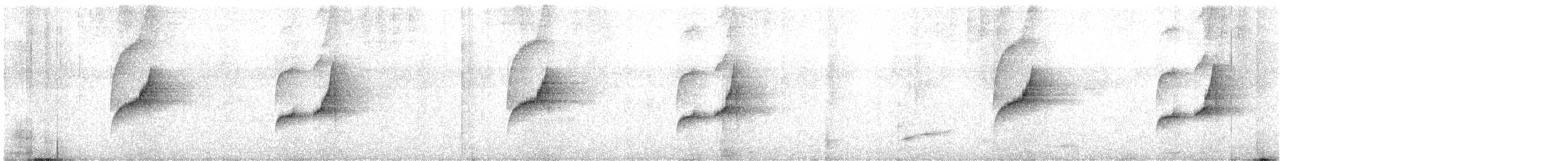 Weißbrauen-Dickichtschlüpfer - ML597052581