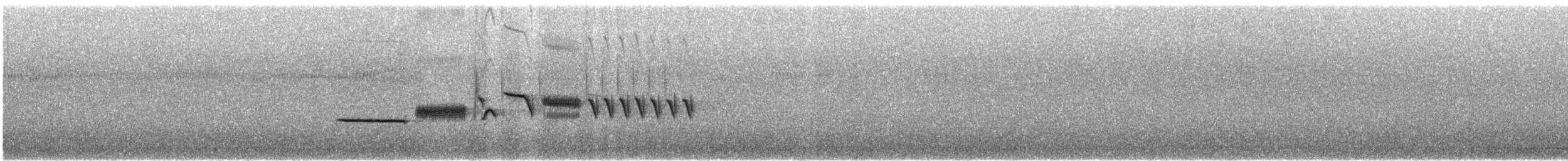 Bruant à couronne blanche (oriantha) - ML597063661