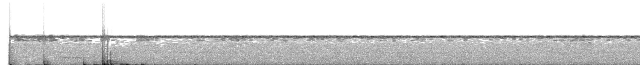Кустарниковый скрытохвост - ML597070781