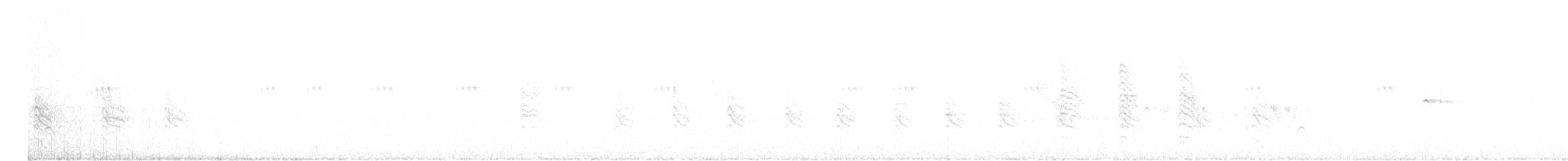 Vireo de Bell (arizonae) - ML597087481