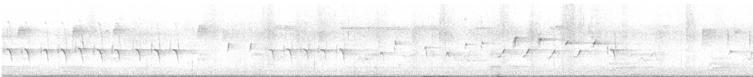 "Шишкар ялиновий (Northeastern, або тип 12)" - ML597106231
