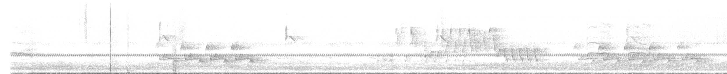 Каролинский крапивник - ML597124161