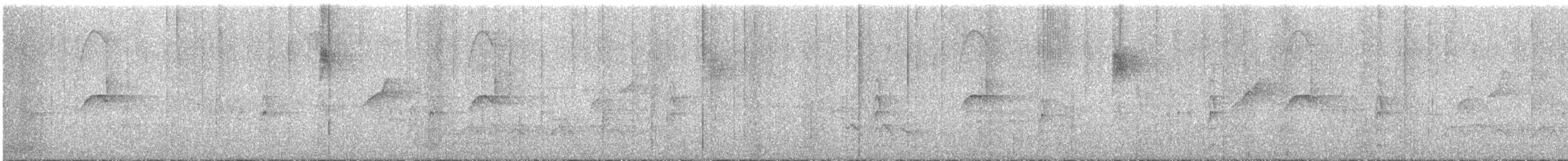 Тиран-крихітка сірощокий - ML597125831