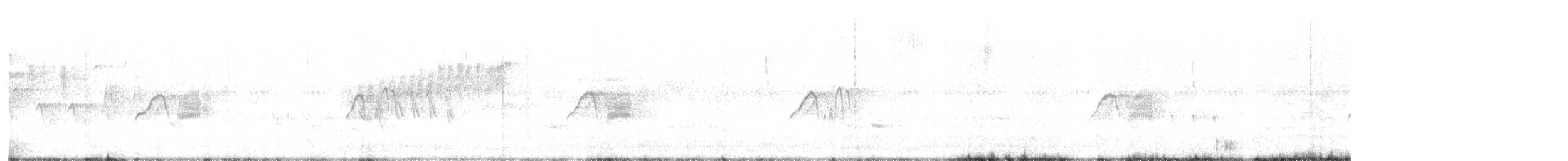 Weißbauch-Phoebetyrann - ML597127301