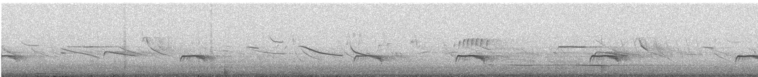 Tschudi's Nightjar - ML597160941