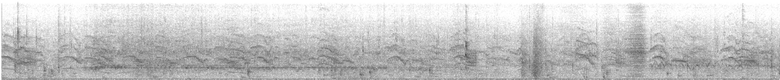 Common Tern (hirundo/tibetana) - ML597161481