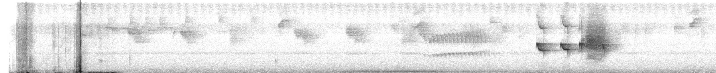 Strichelkopf-Ameisenfänger - ML597216211