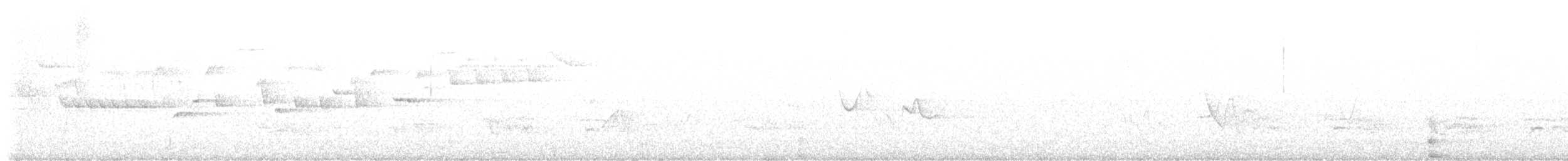 střízlík kanadský - ML597220081
