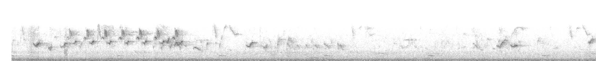 Şeritli Kestane Yelvesi - ML597247351