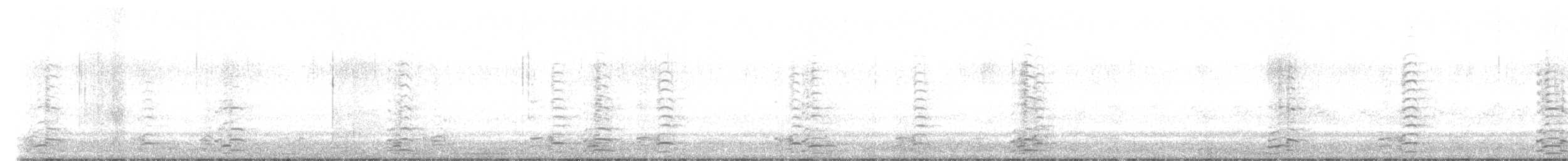 Казарка канадська (підвид moffitti/maxima) - ML597251541