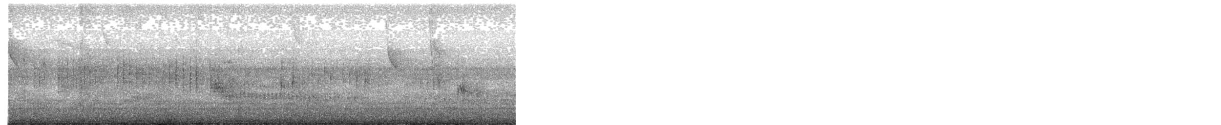 Great Dusky Swift - ML597294961