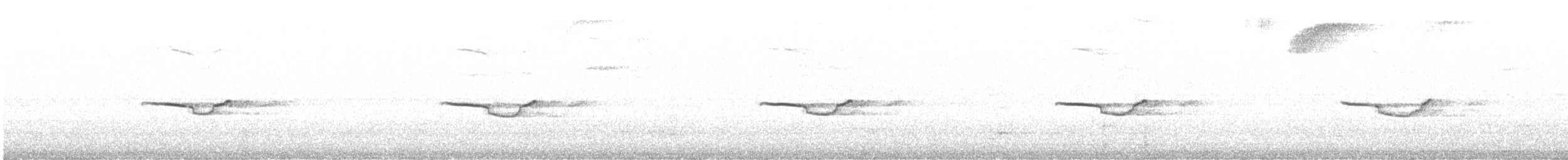 Breitspiegel-Nachtschwalbe - ML597297871