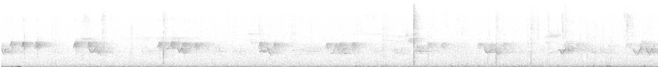 "Шишкар ялиновий (Northeastern, або тип 12)" - ML597324401