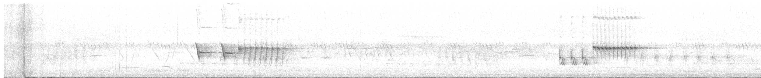 Пятнистый x Красноглазый тохи (гибрид) - ML597334041