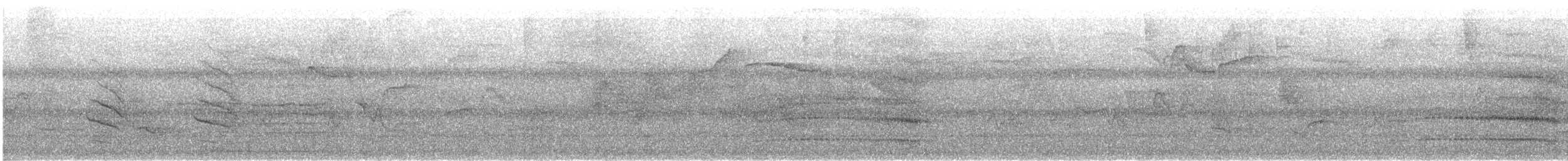 Imperial Amazon - ML597346731