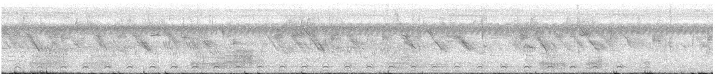 Slaty-tailed Trogon - ML597360391