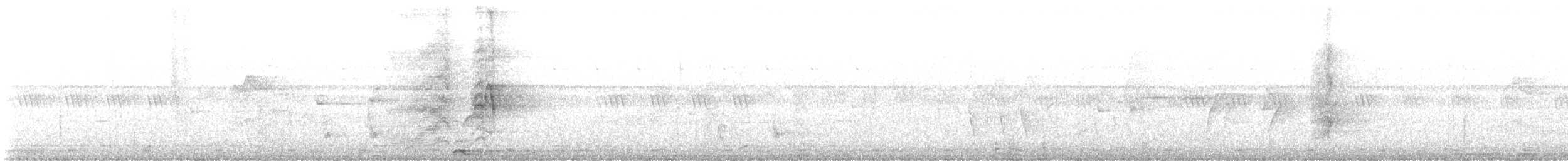 カンムリシロムク - ML597385901