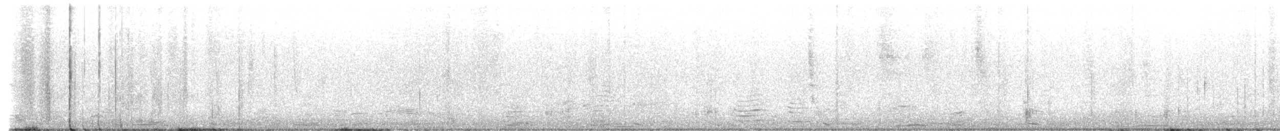 Каллиопа-звёздочка - ML597401561