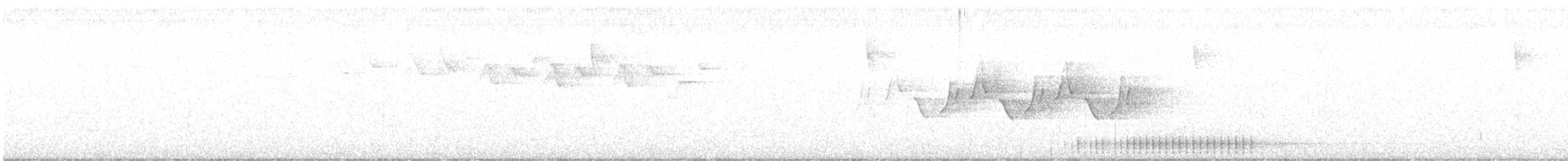 lesňáček černobílý - ML597418891