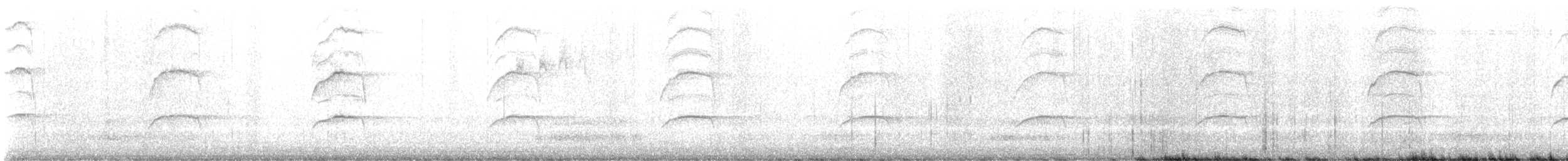 Sharp-shinned/Cooper's Hawk - ML597425431