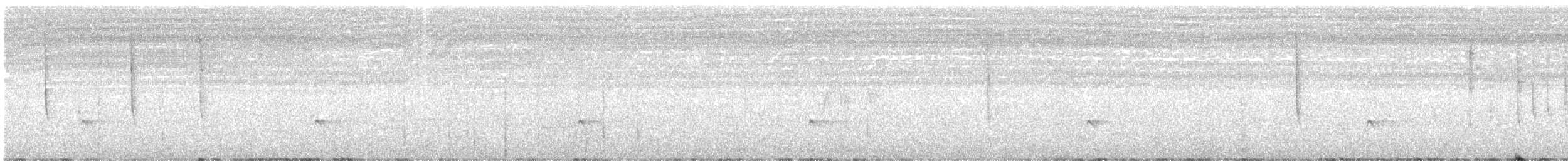 Белоухий колибри - ML597440831