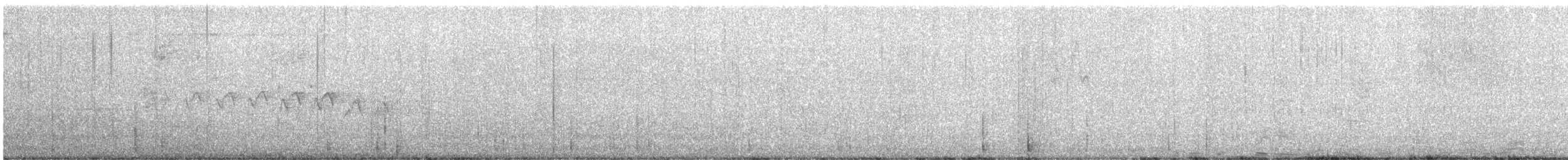 キヅタアメリカムシクイ（coronata） - ML597455551
